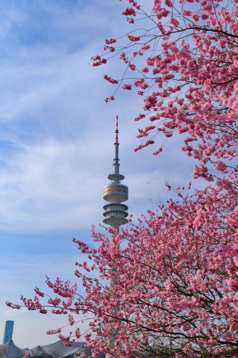 Mietwohnung Neubau München-Schwabing